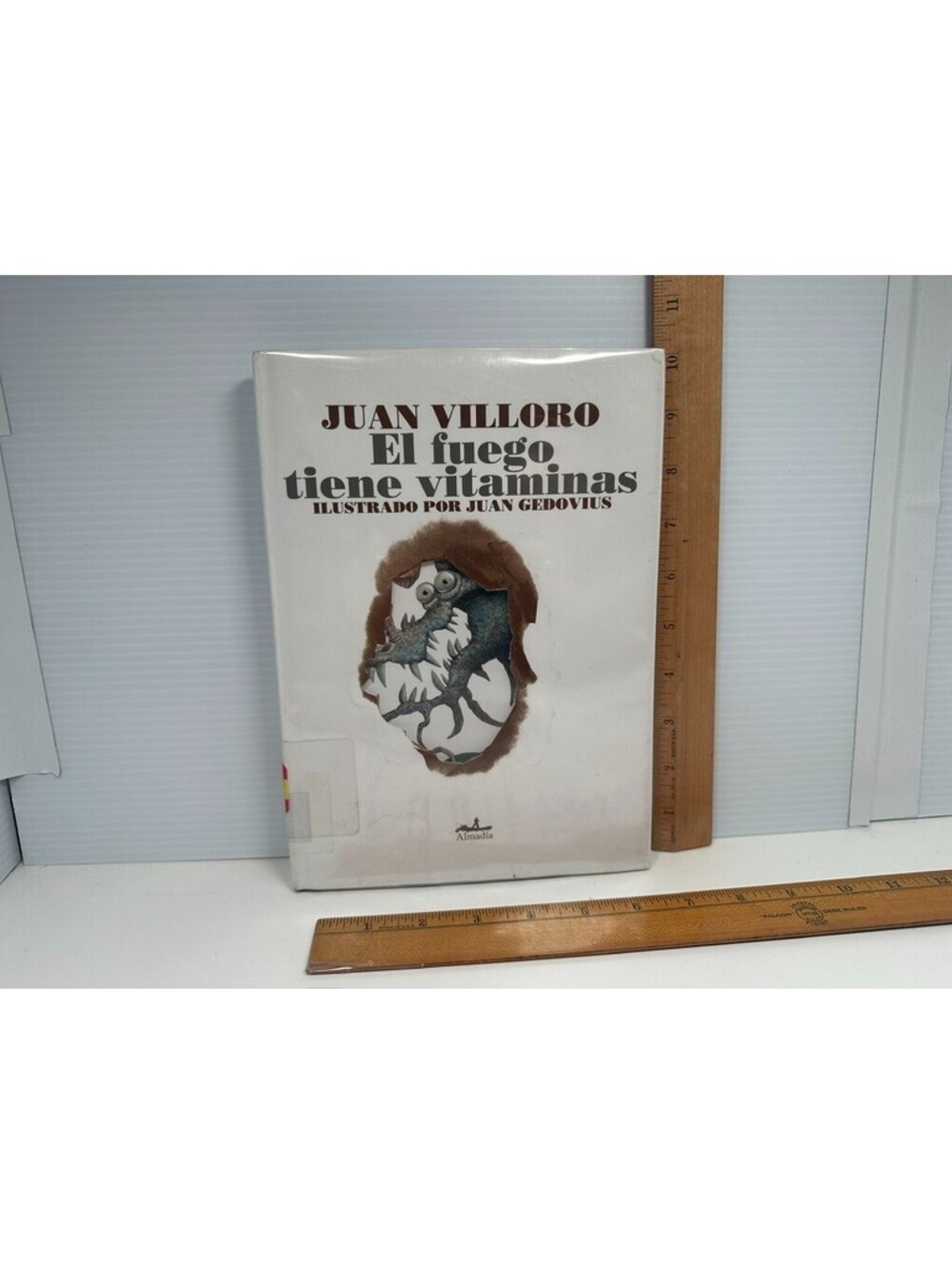 El Fuego Tiene Vitaminas SPANISH Book HC Juan Villoro Gedovius Childrens ExLib